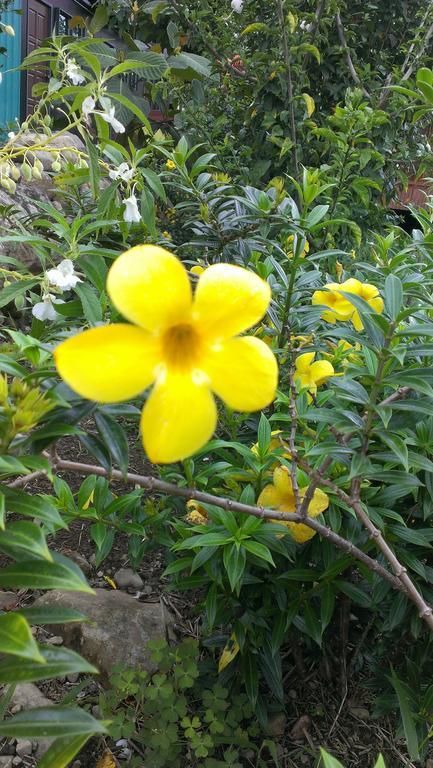 Kinabalu Poring Vacation Lodge Kampung Poring Екстер'єр фото